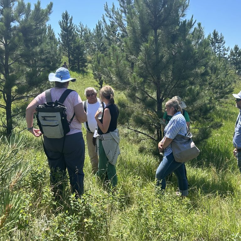 Ethnobotany with Linwood Tall Bull