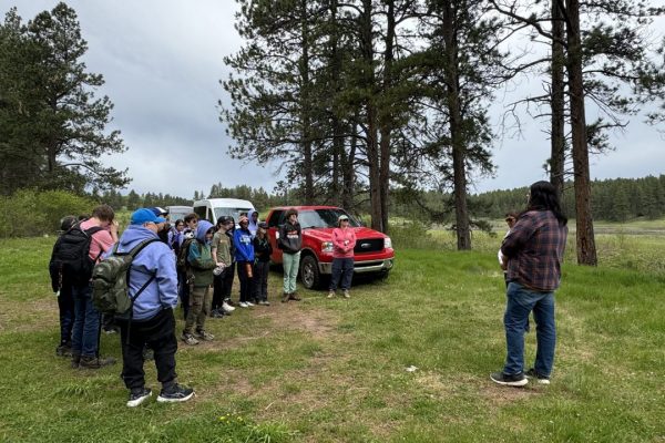 Ethobotany walk
